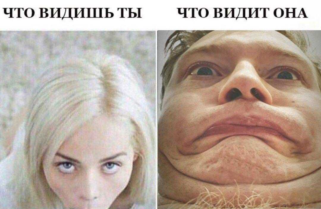 «вечные» мемы: что их объединяет, и как сделать свою пикчу вирусной