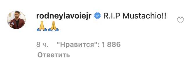 Justin bieber с усами