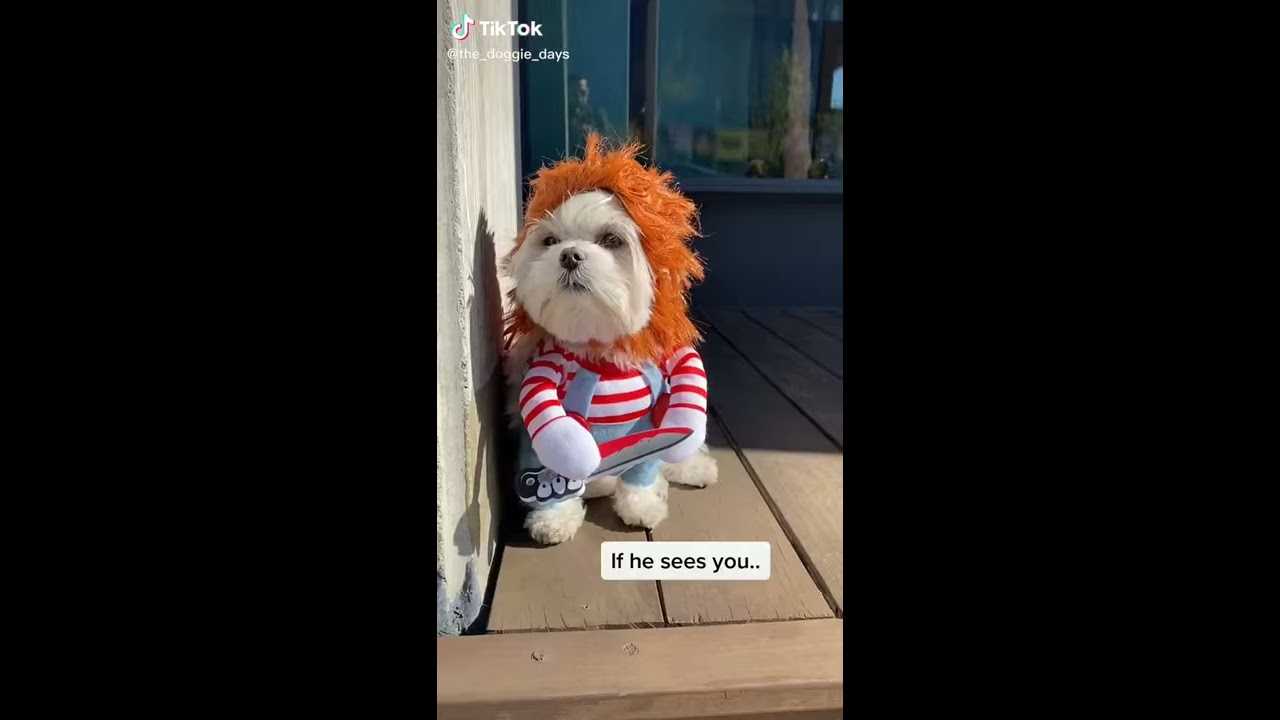 Топ 20 самых красивых парней из tiktok