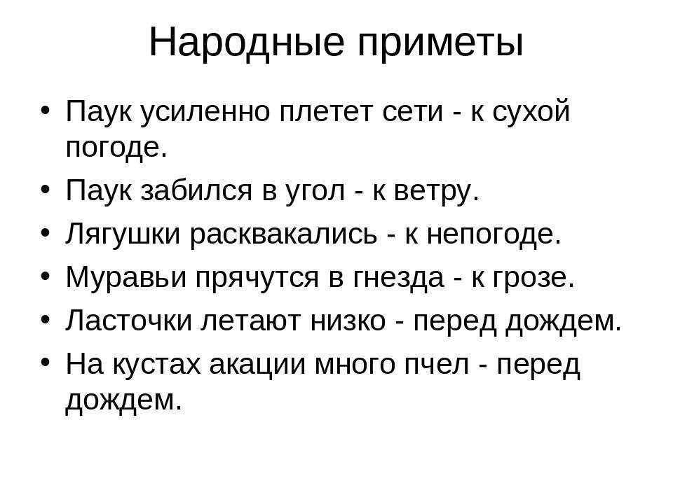 Виды паутины, описание, химический состав и откуда выходит нить