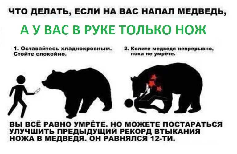 Британский блогер Thogden провёл в России несколько недель во время чемпионата мира и сравнил свои ожидания от этой страны с реальностью Его стереотипы рухнули