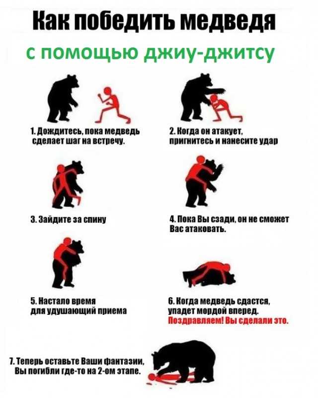 Британский блогер Thogden провёл в России несколько недель во время чемпионата мира и сравнил свои ожидания от этой страны с реальностью Его стереотипы рухнули