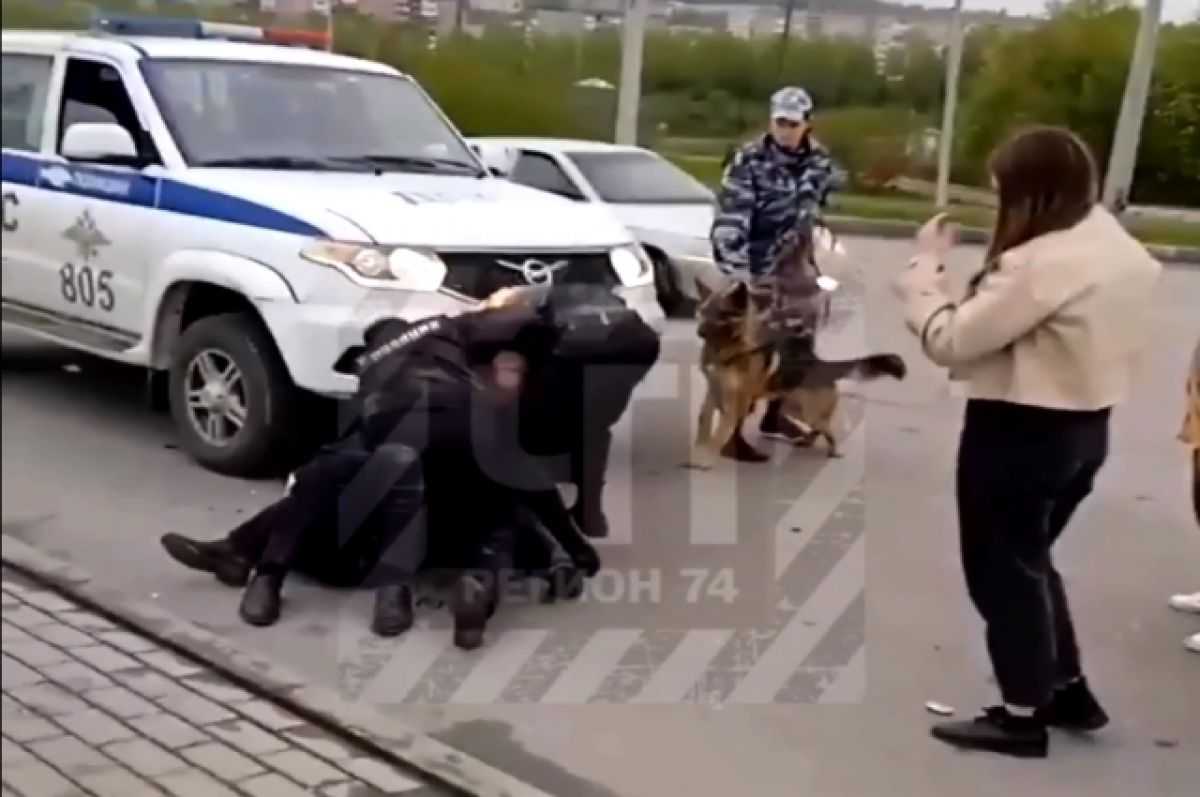 Спасение пьяных ежиков в германии