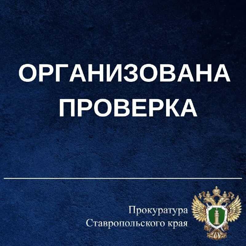 Какие девушки нравятся соде лав
