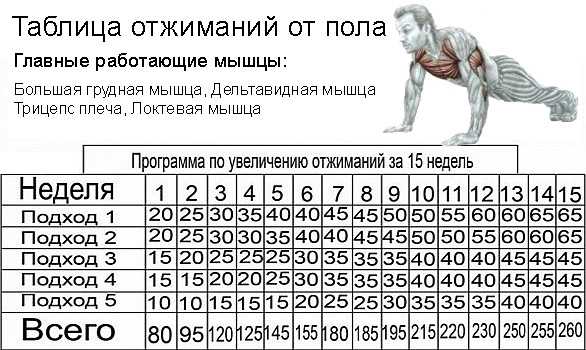 Бросить вызов своему телу: блогер отжимался 333 раза каждый день и показал результат