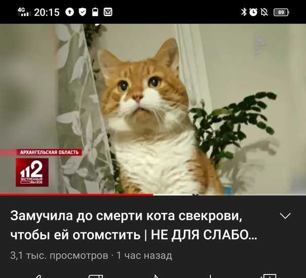 Анна-Виктория была матерью троих детей и писала стихи Но это не помешало ей конфликтовать с родственниками, а позже замучить до смерти кота Кузю