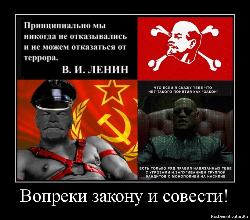 Дуэйн скала джонсон почти миллиардер. как нищий боец стал плохим парнем и заставил мир полюбить себя