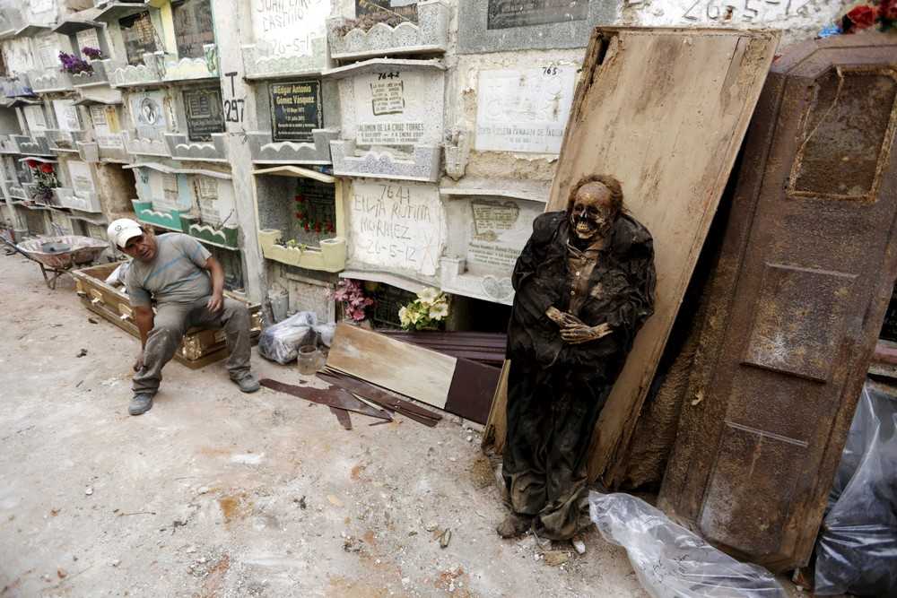 Король лев — неолурк, народный lurkmore