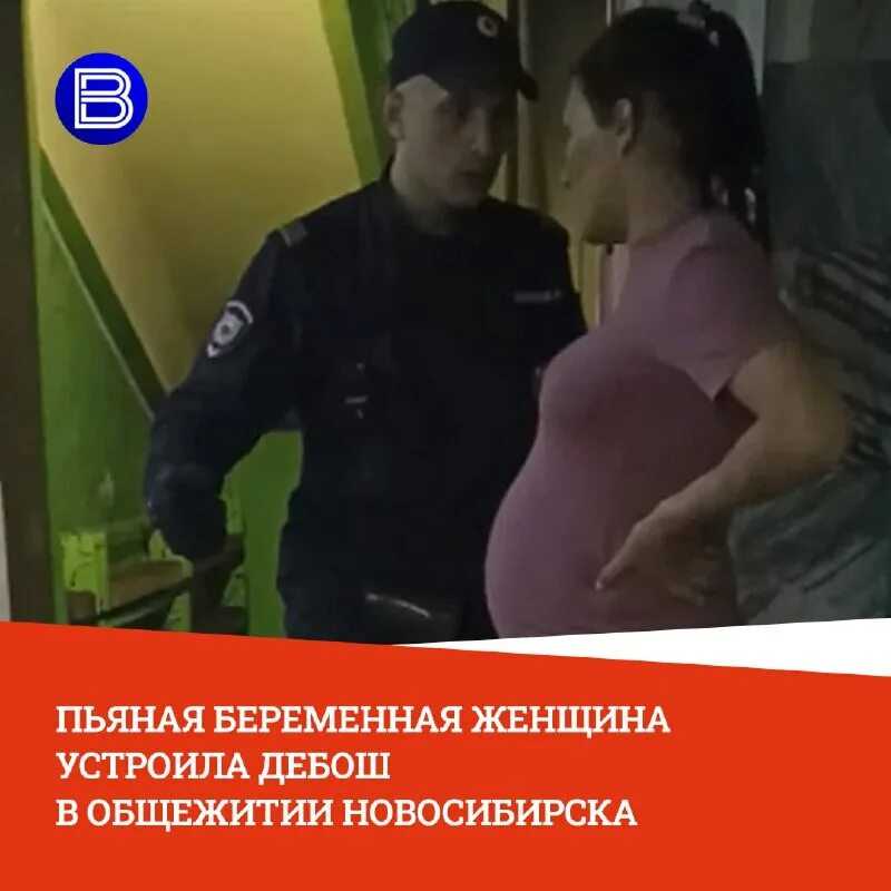 В ФРГ полицейские задержали двух пьяных ежей и отправили их к ветеринарам лечить похмелье Мы узнали лучшие средства, которые помогут ёжикам встать на лапки