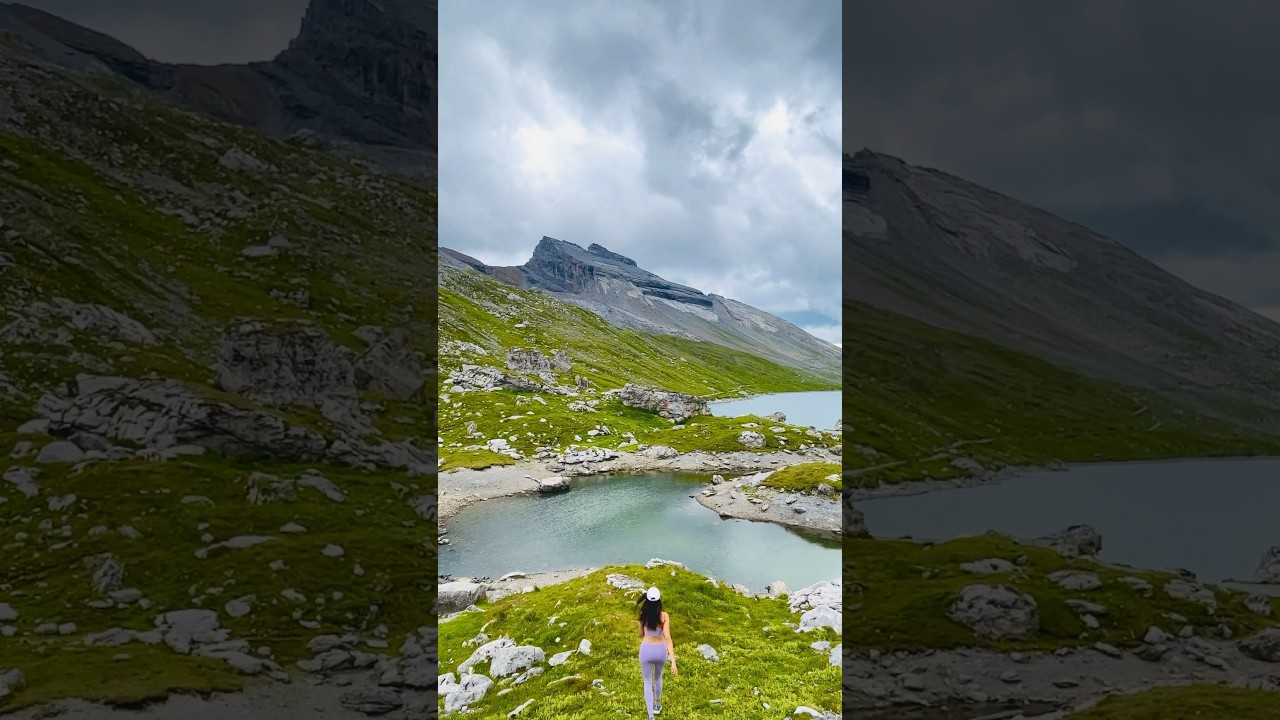 Кто джедай который забрал грогу?