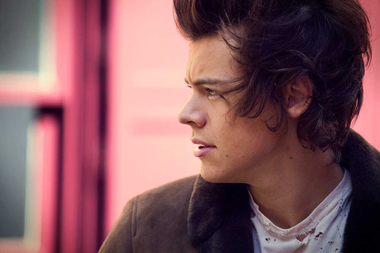 Факты one direction. 100 фактов о one direction | прическа и макияж