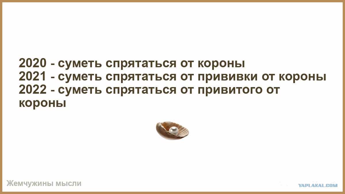 Что такое «база кормит». цитата фригана стаса аскета стала мемом о благодарности за бесплатную еду. — мариуполь на ru24.net