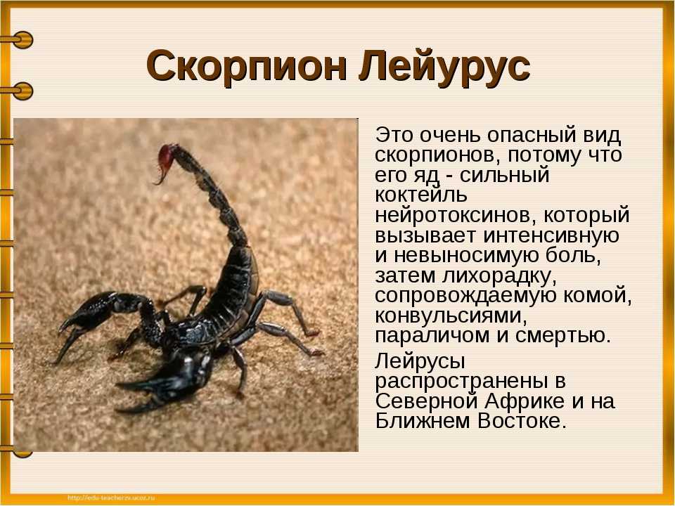 5 знаков зодиака, что всегда со всеми спорят