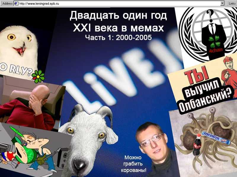«наташа, мы все уронили». как эти коты попали в мемы | правмир