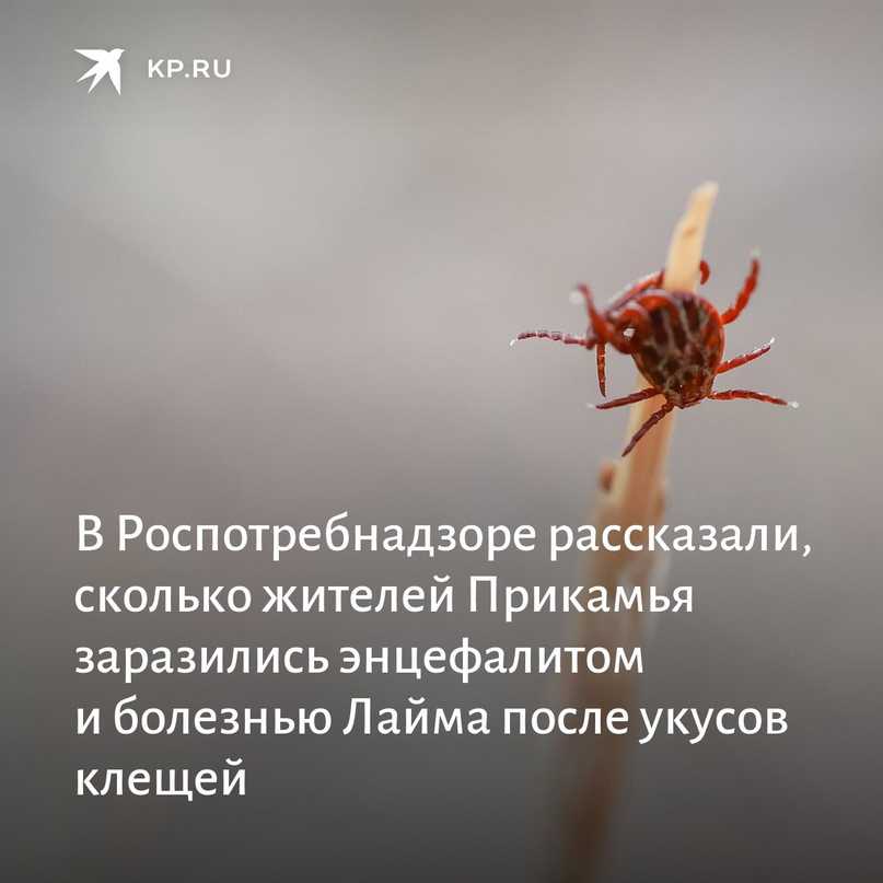 В Сети завирусился мем women coffee Женщины с эмодзи кофе, который парни используют, чтобы высмеять нелепые ошибки девушек