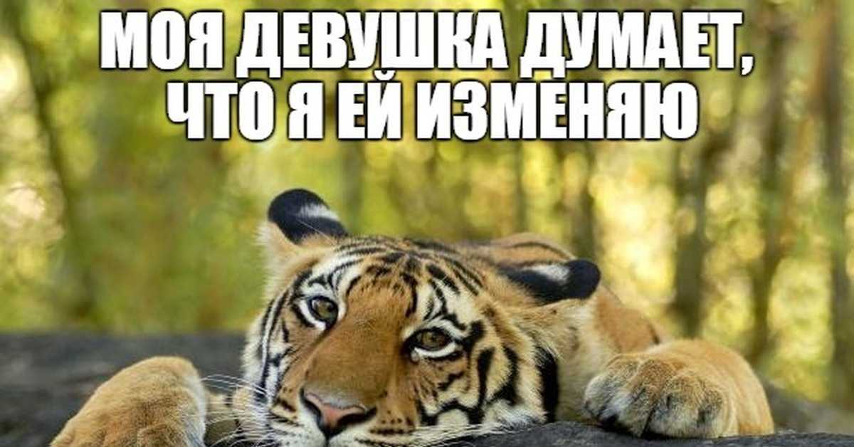 Работа в россии, успешная карьера в голливуде и первая большая роль — все, что известно об актерах netflix «игра в кальмара»
