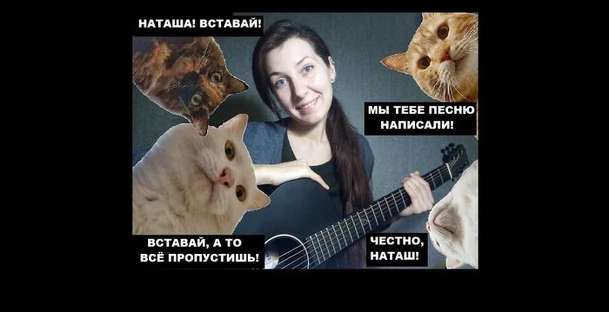 «мы можем выходить даже самых безнадежных, а вот с устройством в семьи всё сложнее». основательница фонда «кусочек счастья для бездомной кошки» — о помощи животным, пострадавшим от рук человека