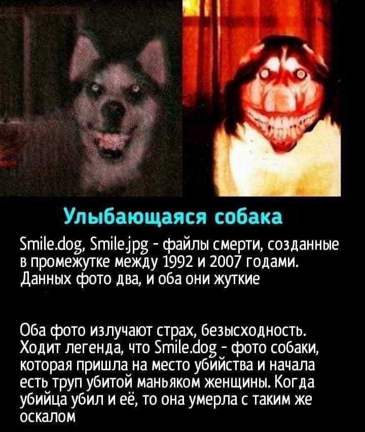 Web killer.avi » страшные истории
