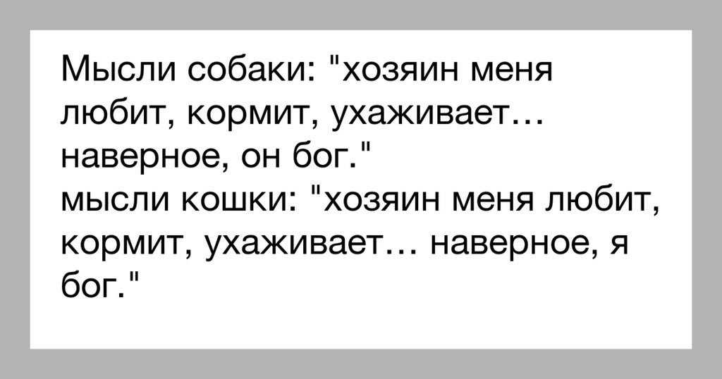 Видимо люблю. Собака думает человек меня кормит. Человек меня кормит наверное он Бог. Анекдоты хозяев. Собака человек меня кормит наверное я Бог.