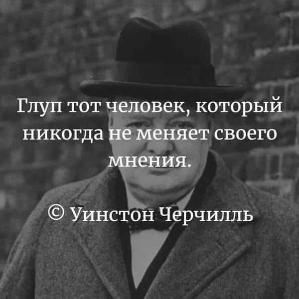 Лев - описание, ареал, размножение, питание, поведение, подвиды, угрозы, видео и фото — природа мира