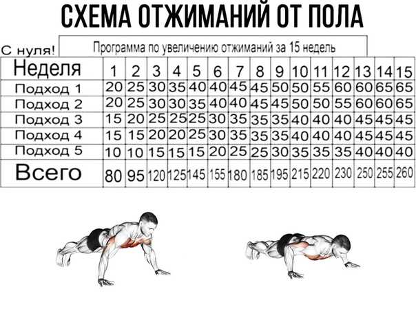 Как делать больше отжиманий от пола (с иллюстрациями)
