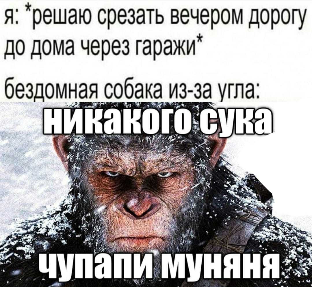 Что обозначает фраза чупапи муняню