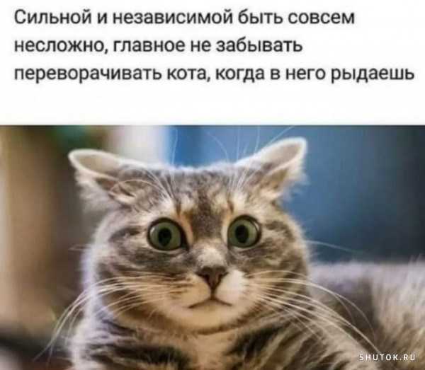 Доводы за и против абортов: американские карикатуристы о планировании семьи