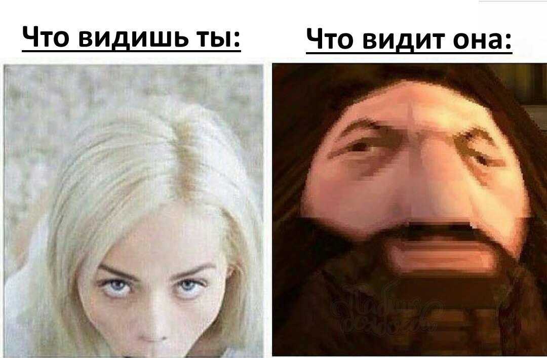Что за мем «к вам вопросов нет». шаблон приободрит тех, в чьих поступках мало здравого смысла