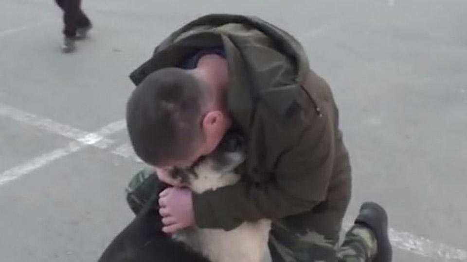Бездомный потерял свою собаку и не думал, что когда-нибудь снова её увидит Но добрые жители нашли питомца, и эта встреча вызывает у людей слёзы счастья