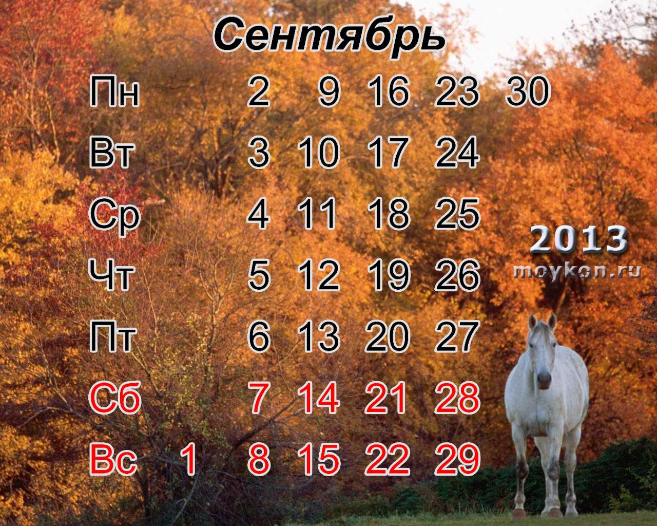 Обзор состояния внутреннего рынка наличной иностранной валюты в сентябре 2013 года | банк россии