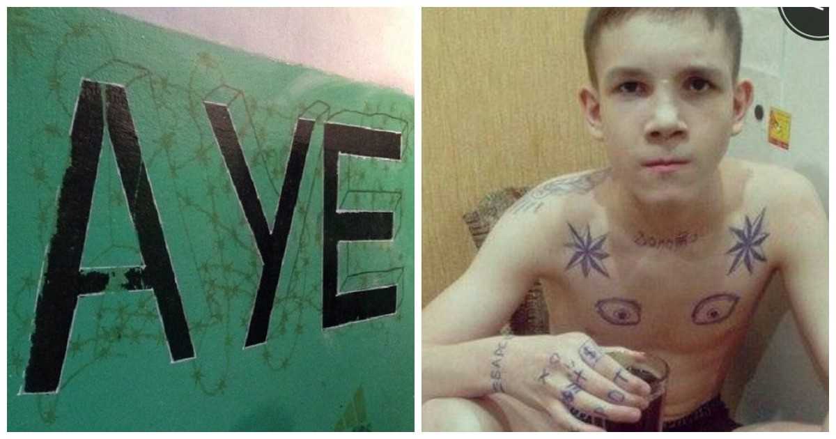 Паша техник