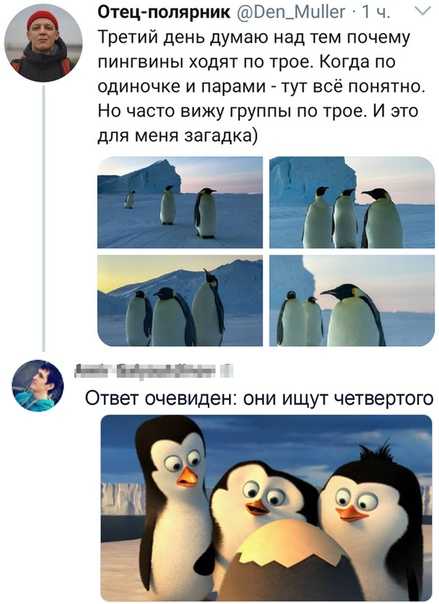 Мем про пингвина в очках был популярен в прошлом году, а потом постепенно ушёл в прошлое Теперь Толян всё время звонит куда-то по телефону и каламбурит