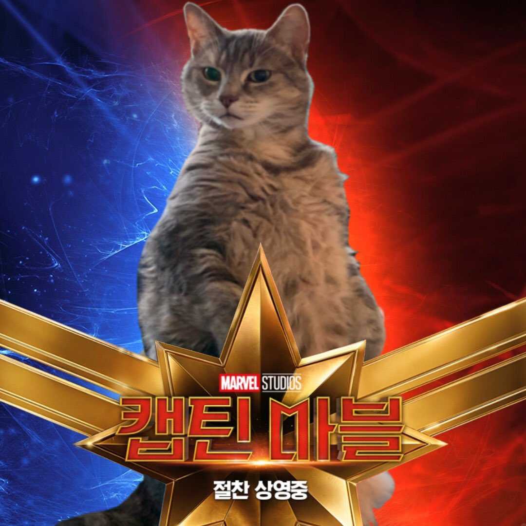 Гуся | кинематографическая вселенная marvel вики | fandom