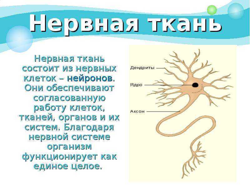 5 запахов тела, которые нельзя игнорировать - как пахнут заболевания и методы их лечения