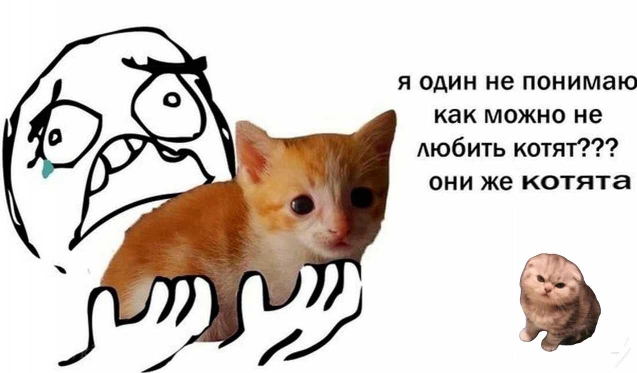 Что стало с героями популярных мемов спустя несколько лет, как они покорили пользователей сети