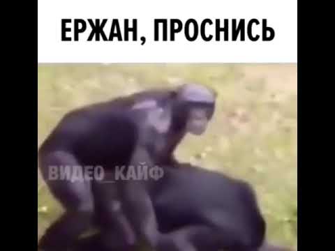 Ержан что означает слово
