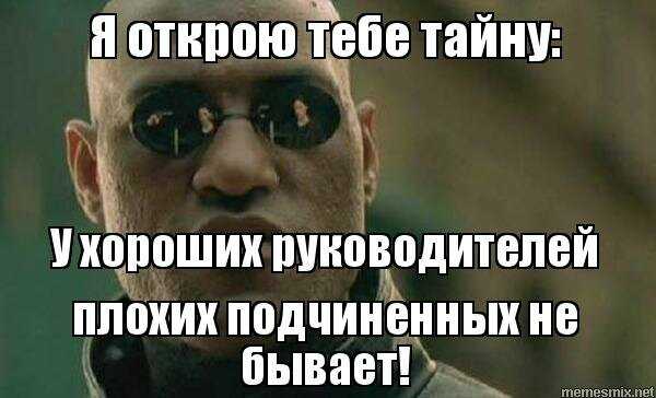 Same energy мем: что он означает и зачем его используют