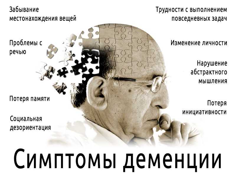 Что нужно делать, если собака столкнулась с дикобразом | hill's pet