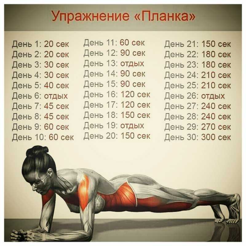 Программа 100 отжиманий за 6 или 7 недель: как научиться отжиматься 100 раз