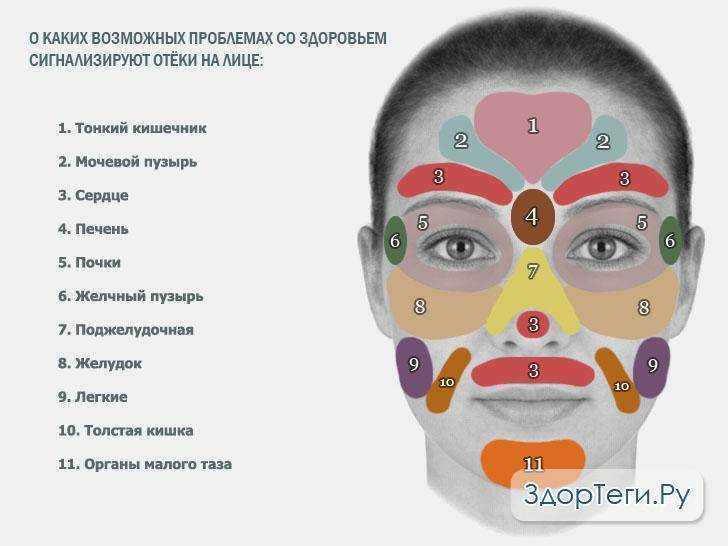 Аллергия на колу: причины, симптоматика и различные способы лечения