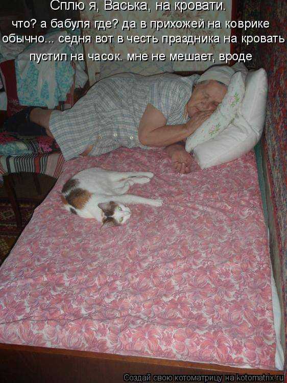 Беспокойное поведение собаки: причины и провоцирующие факторы | звери дома