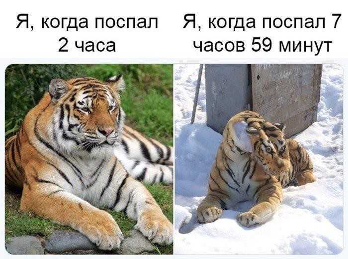 Игроки «игры в кальмара»: имена персонажей сериала, главные герои дорамы, номера и фото и участников испытаний, сколько всего их было 