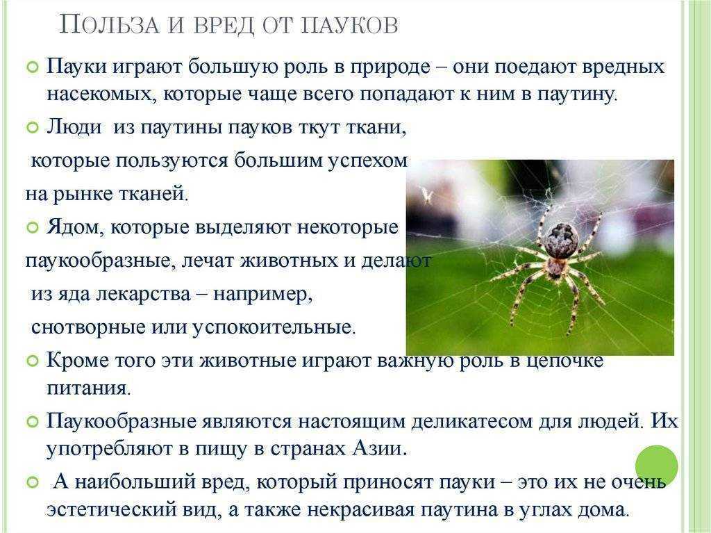 Доброхим микро: описание, состав и назначение препарата