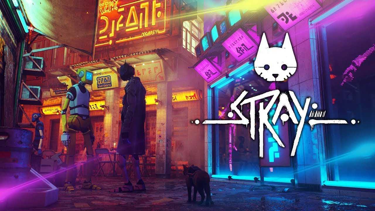Почему stray меня не зацепила — даже несмотря на то, что я люблю котиков