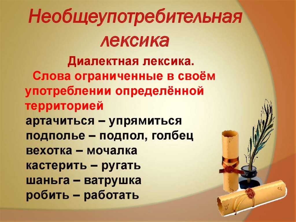 Вехотка откуда произошло слово