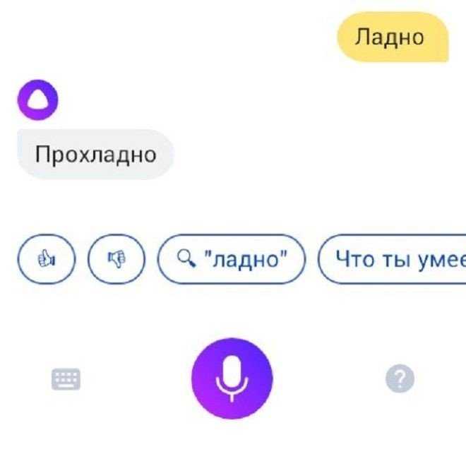 Приколы с голосовым помощником алисой