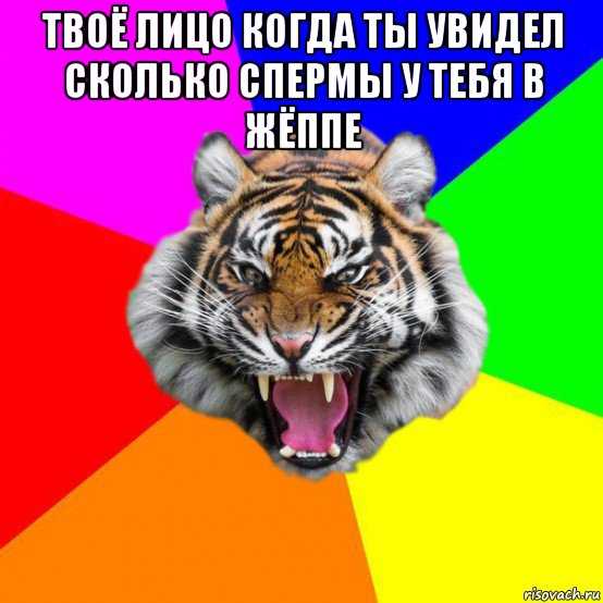 Рулет мем. Тигр Мем. Мемы с тигром и рулетом. Тигр рулет Мем. Внутренняя тигрица Мем.