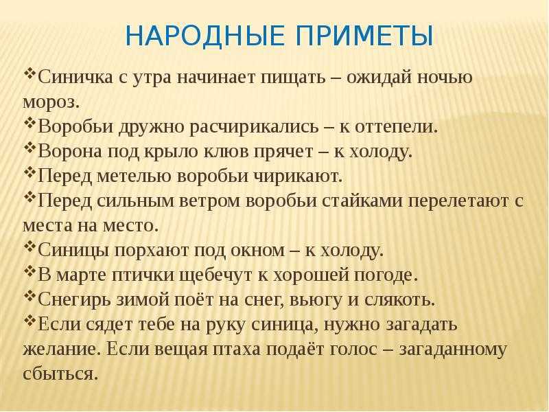 Парень обнаружил в Истории игрушек совсем не детскую куклу Он опубликовал её фото и предположил, что это женщина по вызову