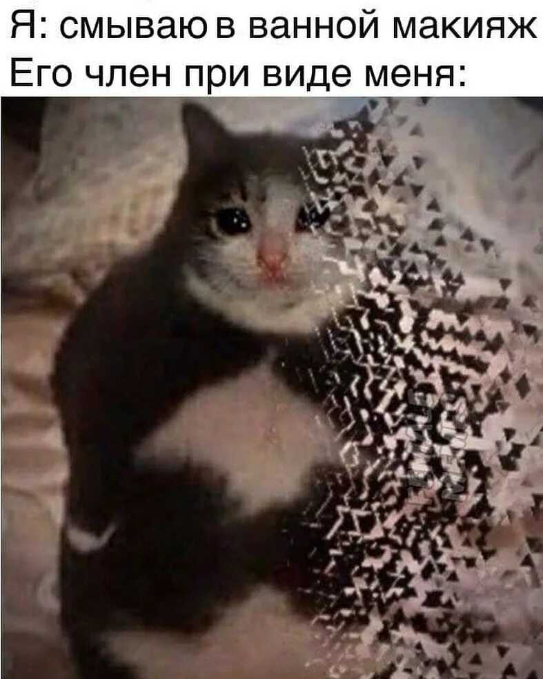 Названы самые смешные мемы 2020 года
