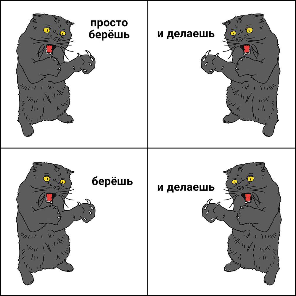 Посмотрите, как толстый белый кот покорил сердца пользователей соцсетей и стал мемом — новости минска
